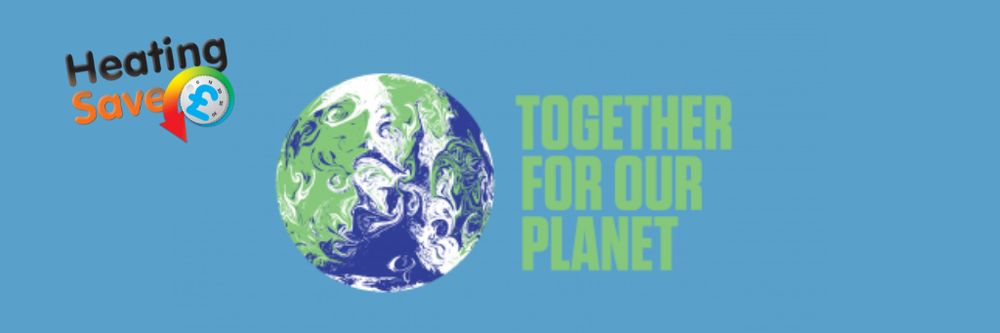 How To Reduce a Business's Carbon Footprint & Become Net Zero