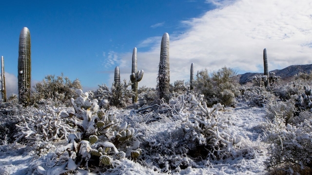 Where are the hottest and coldest places to live?